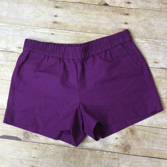 J. Crew Pants - J. Crew Boardwalk Shorts